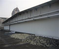 P1050965_愛奇藝.jpg